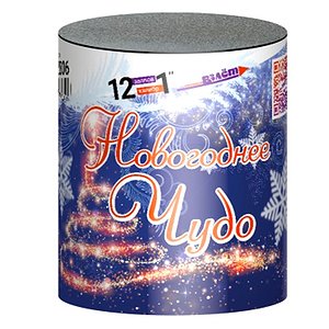 Новогоднее чудо